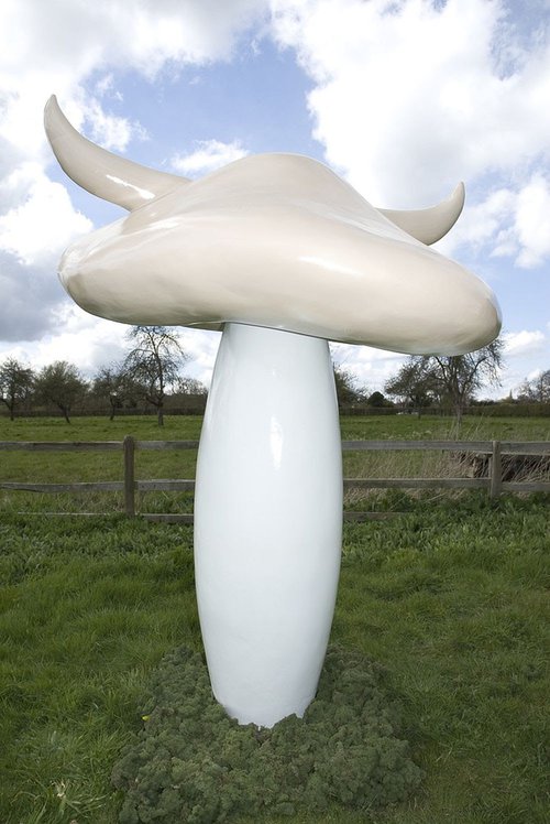 Giant ToadStool For Sale Giant ToadStool For Sale
