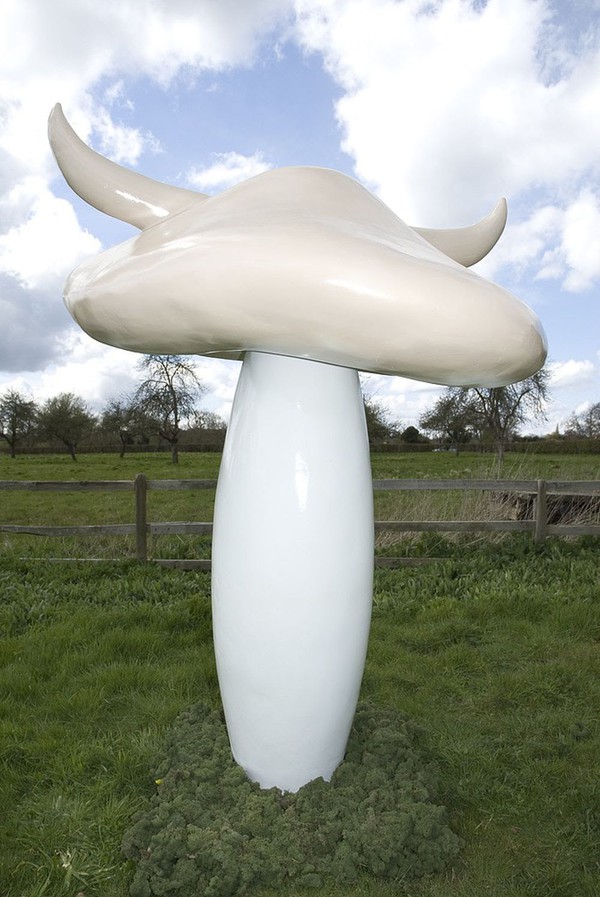 Giant ToadStool For Sale