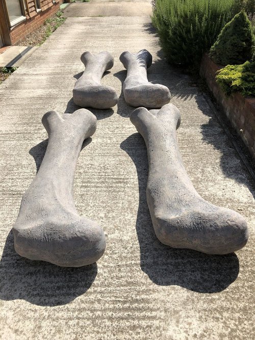 Large dinosaur bone prop Large dinosaur bone prop