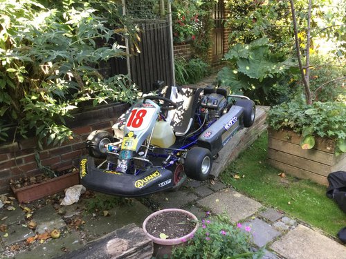 Championship Winning Honda Prokart - Kent Championship Winning Honda Prokart - Kent