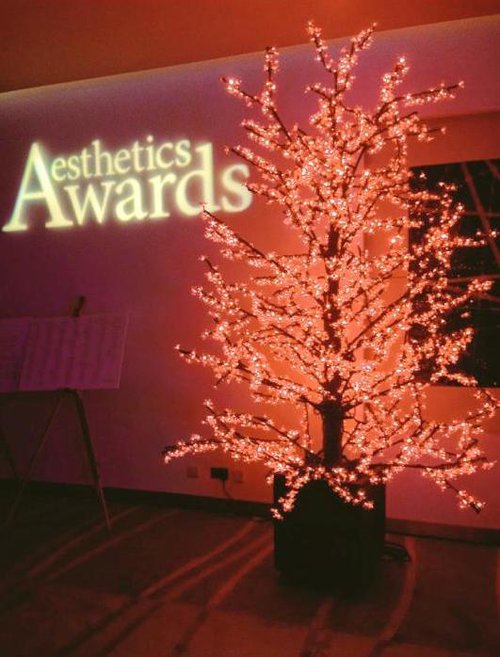 3 Metre LED Cherry Trees 3 Metre LED Cherry Trees