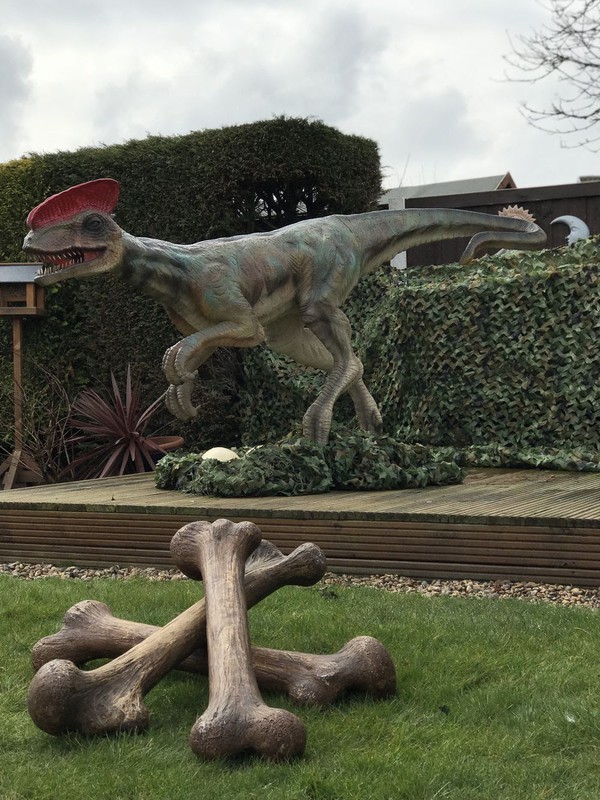 Secondhand Prop Shop Dinosaur and Prehistoric 5x Dinosaurs Large