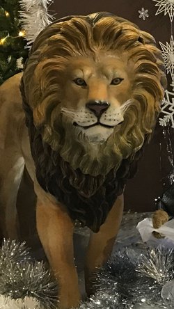 Real Life Size Lion Prop For Sale