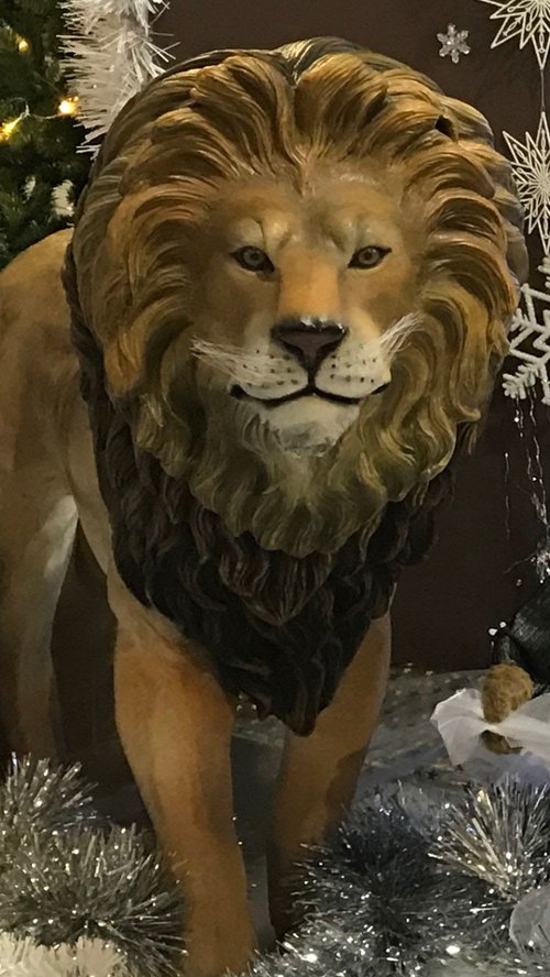 Real Life Size Lion Prop For Sale Real Life Size Lion Prop For Sale