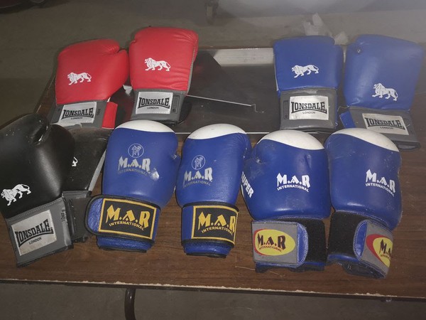 Boxing Rings For sale
