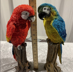 Prop parrots for sale