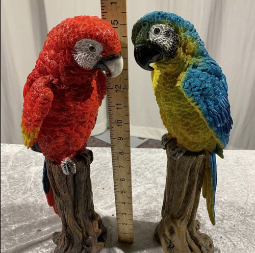 Prop parrots for sale Prop parrots for sale