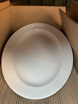 Dudson 15" Plates for sale