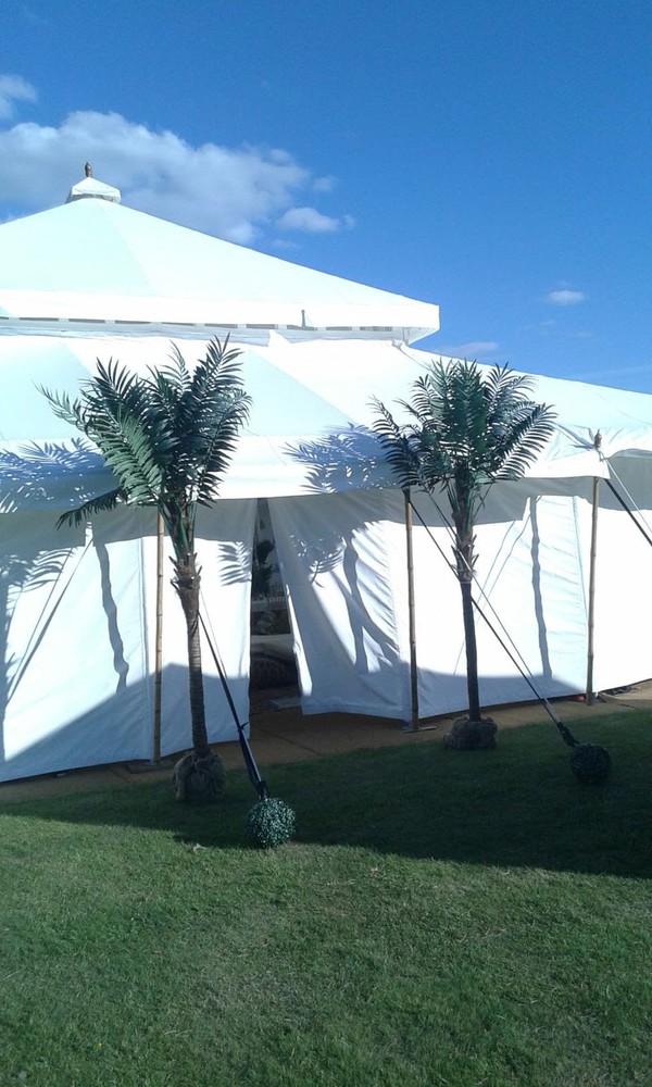 Mughal tent 13 x 13m for sale