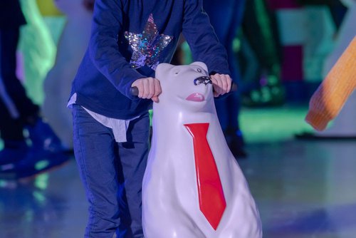 Polar bear Skating Aids Polar bear Skating Aids