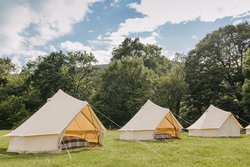 Glamping Business for sale