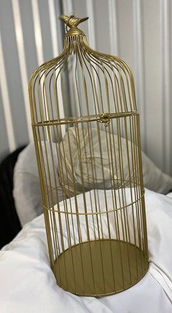 Large Gold Birdcages