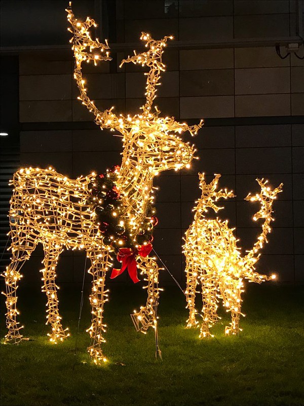 Giant Illuminated Reindeer