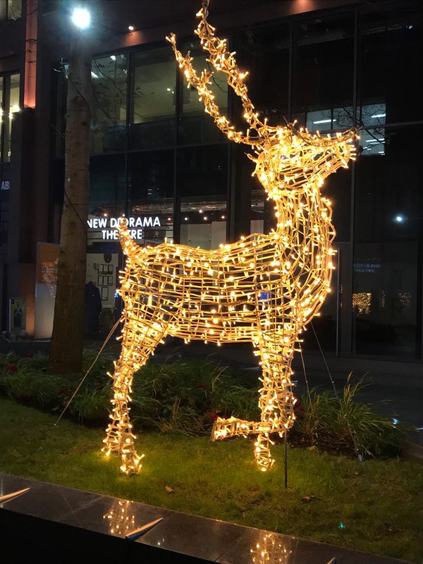 Illuminated Reindeer for sale