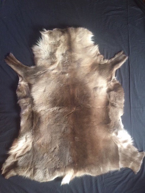 Reindeer Hide