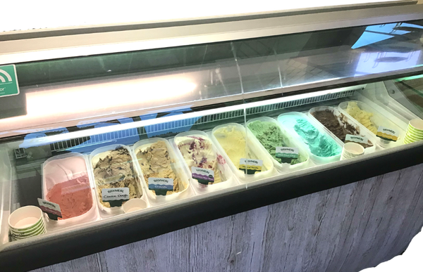 9 pan Ice cream display fridge