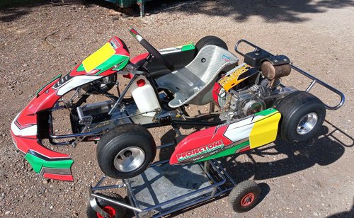 Kart for sale
