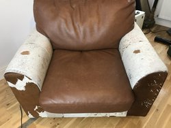 Cow hide chairs