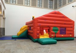 Bespoke Bouncy Play Castle