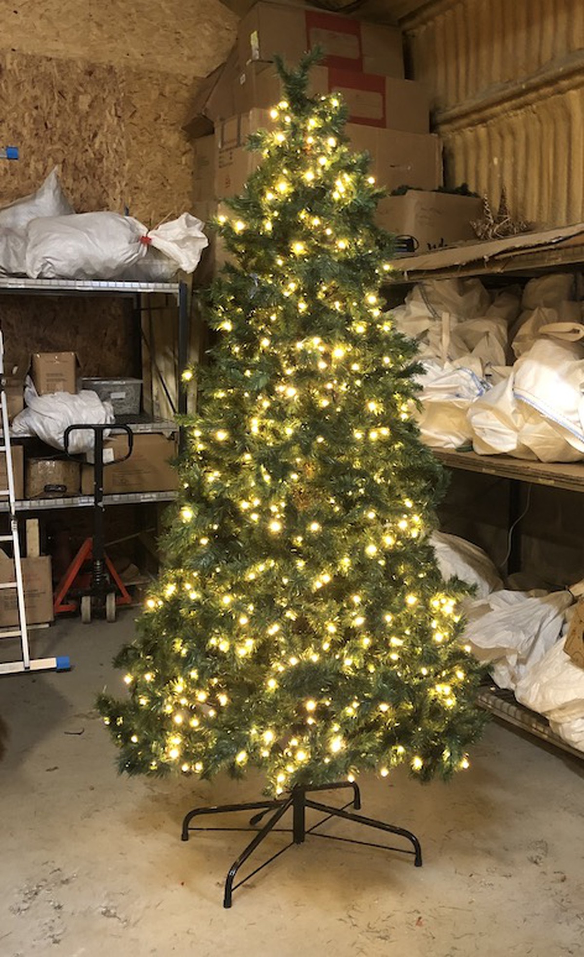10 Ft Christmas Tree - Photos All Recommendation
