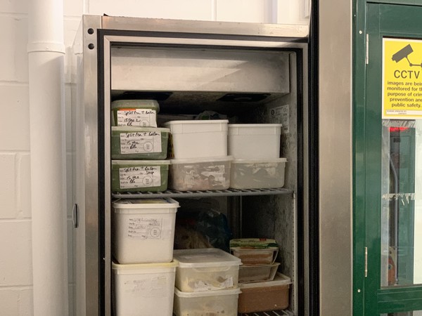 Used upright freezer
