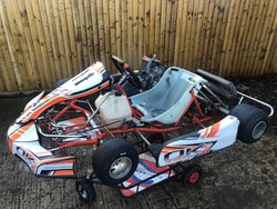 Intrepid Syrius V Rotax Max / Junior kart for sale