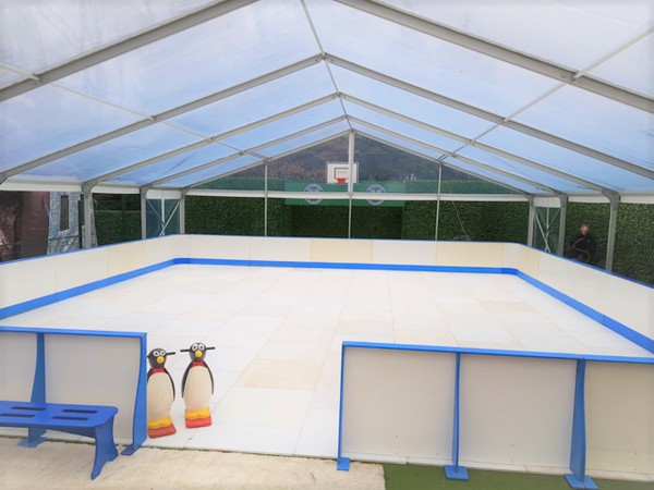 Ice Rink for sale