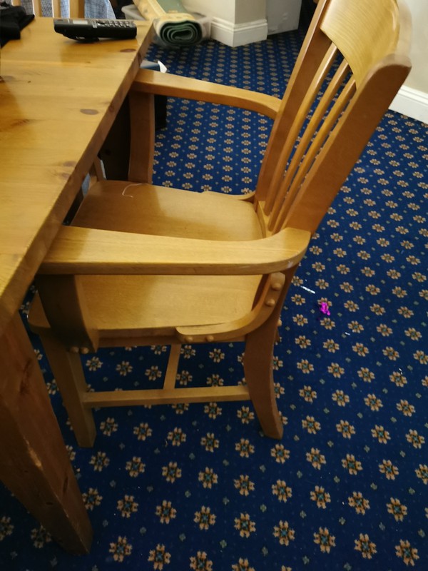 Restaurant Dining Chairs in Light Oak for sale