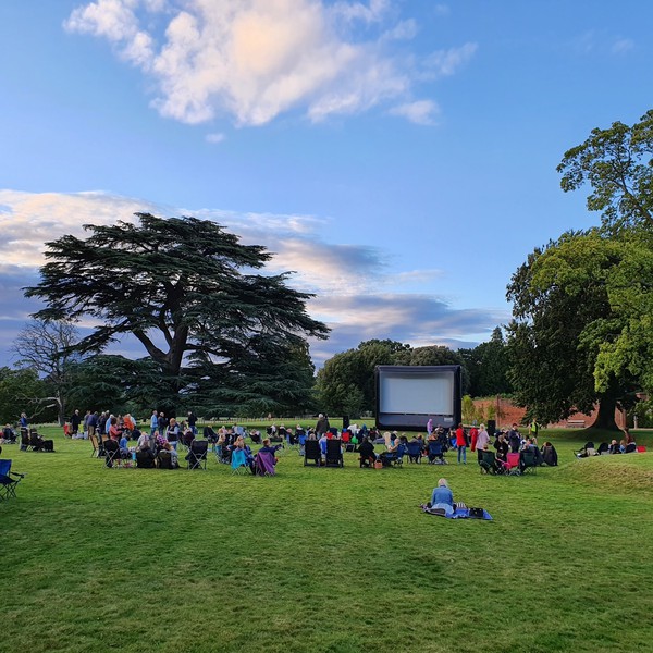 Outdoor Based Cinema Business for sale