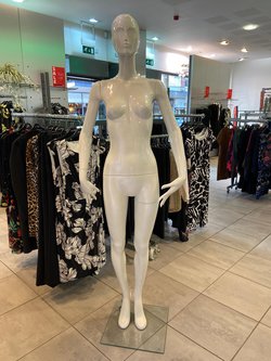 Standing Rare Basic Gloss Mannequins