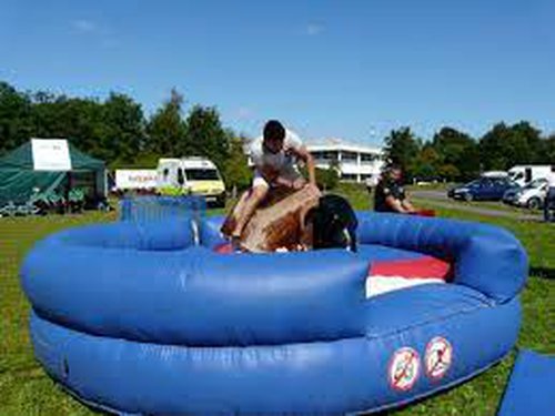 Rodeo Bull Rodeo Bull
