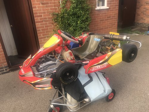 Secondhand 2012 Gillard Cadet Kart For Sale Secondhand 2012 Gillard Cadet Kart For Sale