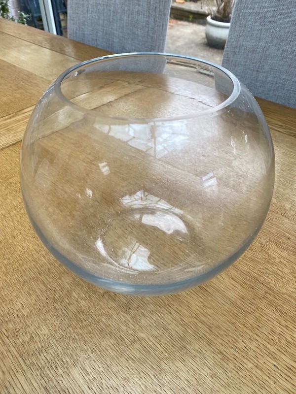 Goldfish Bowl Vase