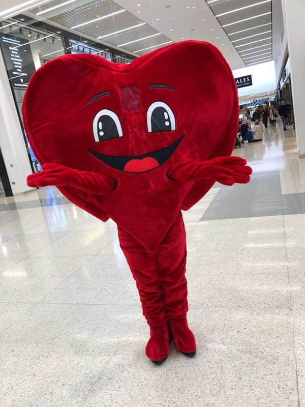 Heart costume for sale