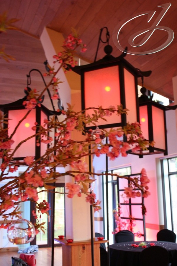 Secondhand Lanterns