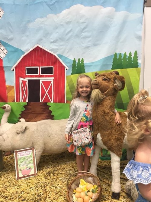 Buy Animatronic Farm Yard