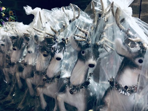 Christmas reindeer  / dear Christmas reindeer  / dear