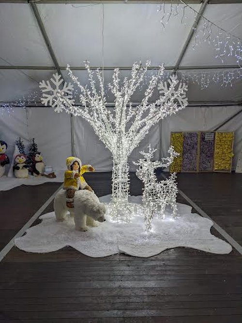 Illuminated Christmas Tree & Reindeer Decorations for sale Illuminated Christmas Tree & Reindeer Decorations for sale