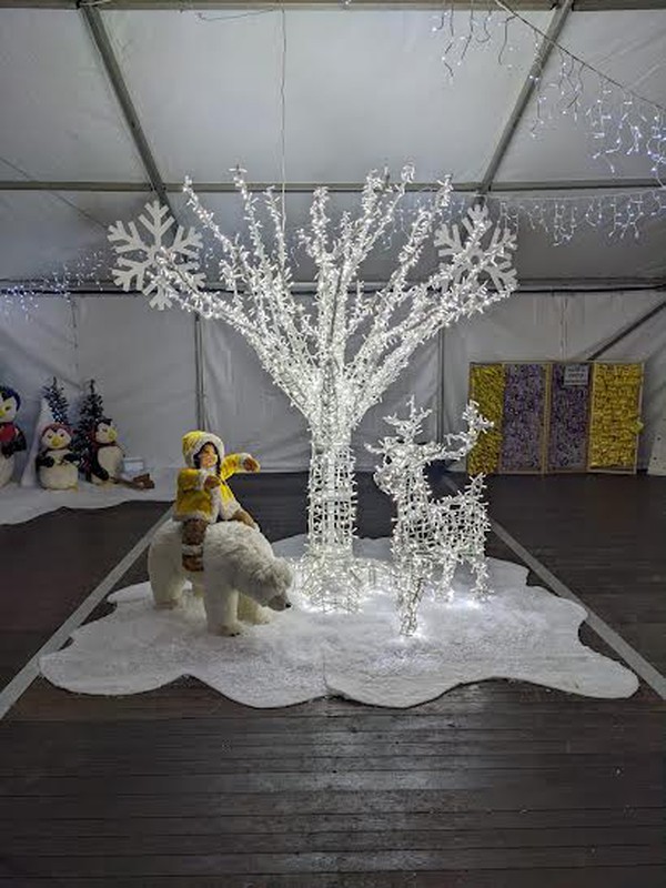 Illuminated Christmas Tree & Reindeer Decorations for sale
