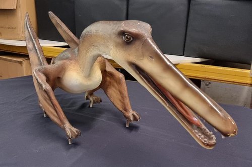 Dinosaur Models Dinosaur Models