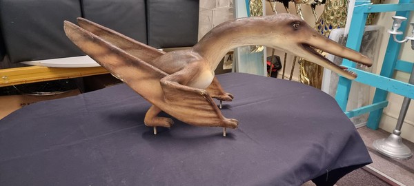 Dinosaur Model Bundle