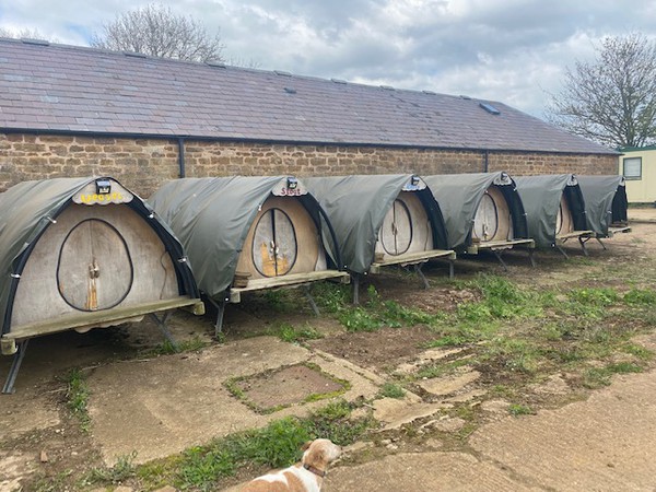 Secondhand Used Cosy Cocoons Glamping Pods For Sale