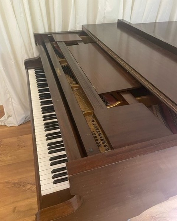 Danemann Baby Grand Piano For Sale
