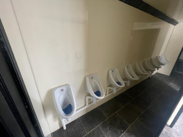 15 Urinals and 4 Toilets on 1 Trailer - Somerset 12