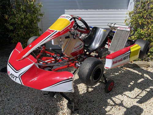 Birel Art - RY30 - S11 - 2020 - X30 Senior Birel Art - RY30 - S11 - 2020 - X30 Senior