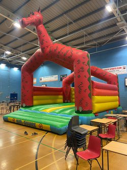 Immaculate Big dragon bouncy castle for sale