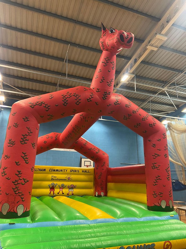 25ft x 25ft Dragon Supa Bounce Bouncy Castle  for sale