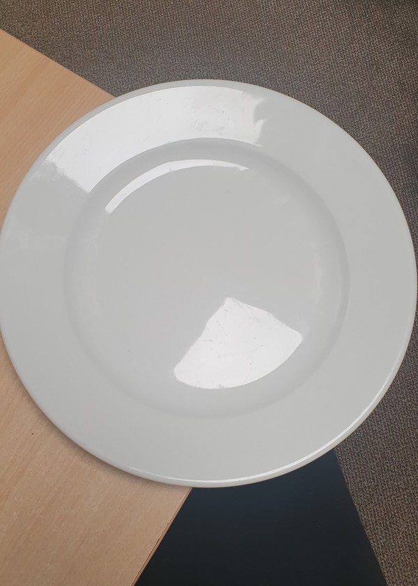 Secondhand 12inch Porcelite Dinner Plates