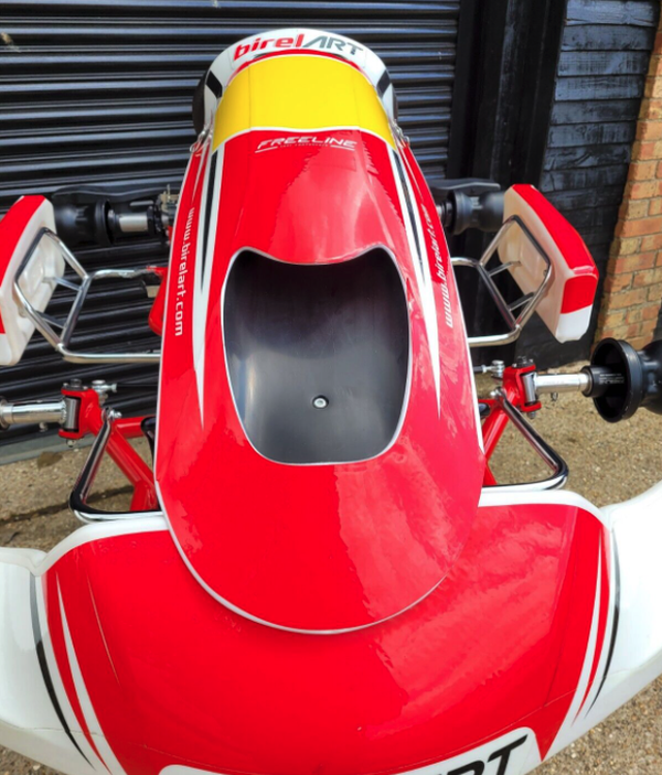 Birel chassis for sale