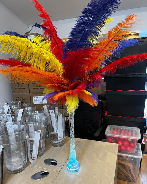 Secondhand Ostrich Feather Table Centres For Sale Secondhand Ostrich Feather Table Centres For Sale